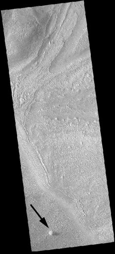 Staubteufel auf Hellas Planitia